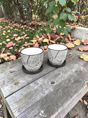 Set Of 2 Terra Cotta Planting Pots